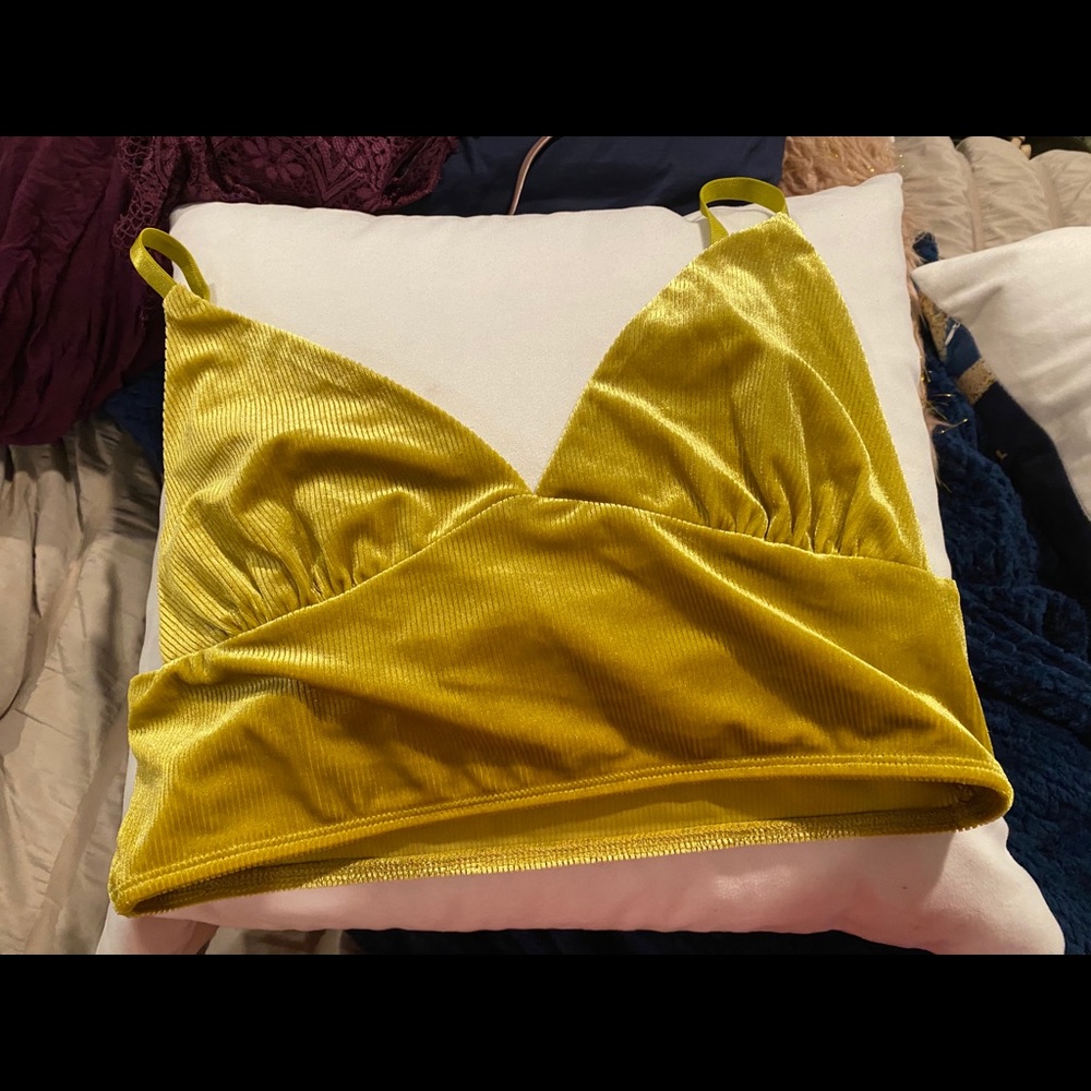Brand new velvet bralette